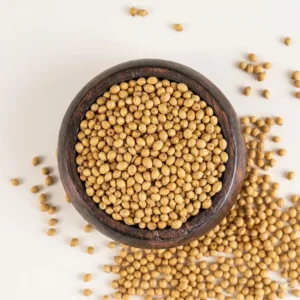 Coriander Seeds
