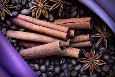 Cinnamon Gallery