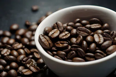Coffee Brewing Sessions